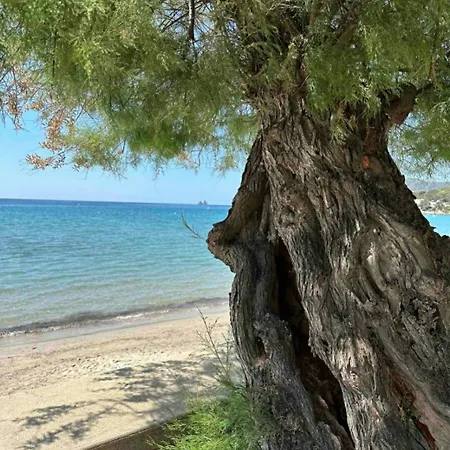 Les Sablettes Vue Apartment