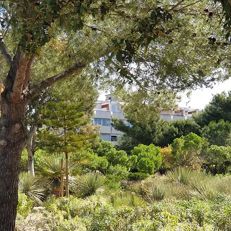 Les Sablettes Vue